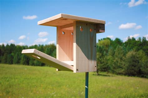 build  bluebird nest box