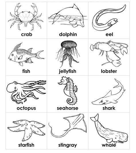 printable ocean animals coloring pages richard  mckinney