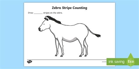 zebra stripes counting  colouring sheet teacher