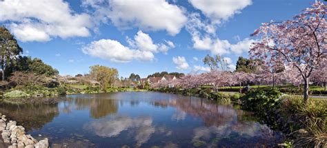 palmerston north  vibrant city   heart   manawatu