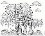 Coloring Adult Elephant Pages Animals Print sketch template