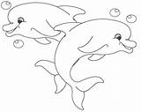 Delfin Ausmalbilder Dolphins Dolphin Delfino Delfines Erwachsene Ariel sketch template