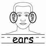Clip Ears Coloring Body Clipart Ear Two Pages Parts Outline Elf Part Diagram Cliparts Neck Template Color Listening Printable Clipartbest sketch template