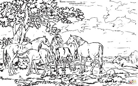 landscape coloring pages    print