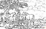 Stubbs Colorat Peisaje Foals Mares Puledri Cavalli Fiume Adulte Pratique Paesaggi Animali Presso Veulen Cheval sketch template
