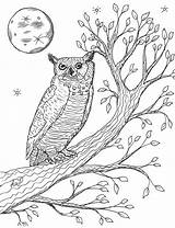 Great Owl Horned Coloring Pages Tree Robin sketch template