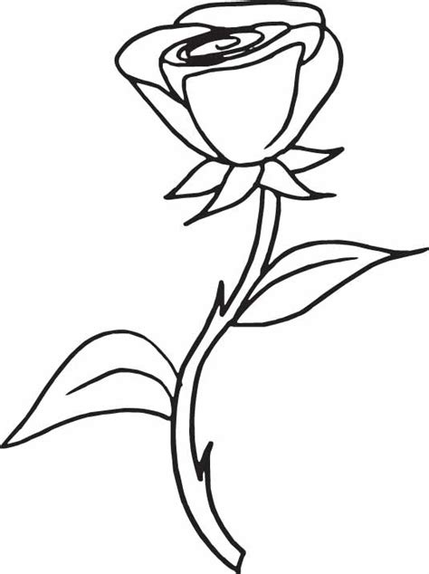 red color rose colouring pages