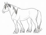 Horse Shire Coloring Pages Clydesdale Drawing Horses Line Reference Getcolorings Visit Printable Color Getdrawings sketch template