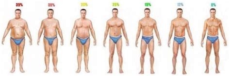 measuring body fat percentage  home  chart healthstatus