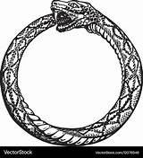 Snake Tail Ouroboros Eating Its Own Vector Eternity sketch template