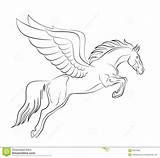 Pegasus Drawing Outline Horse Coloring Drawings Unicorn Tattoo Pages Para Dibujos Stock Mare Background Dibujar Dreamstime Vector Animal Faciles Caballos sketch template