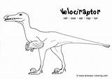 Coloring Dinosaur Pages Velociraptor Bubakids Dinosaurs Choose Board sketch template