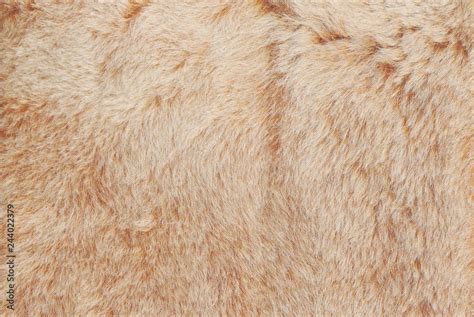 light beige  brown shaggy fluffy fur texture background stock photo