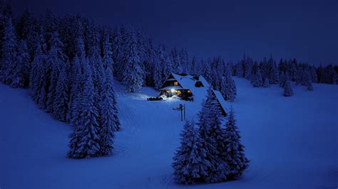 wallpaper  house night winter trees snow layer