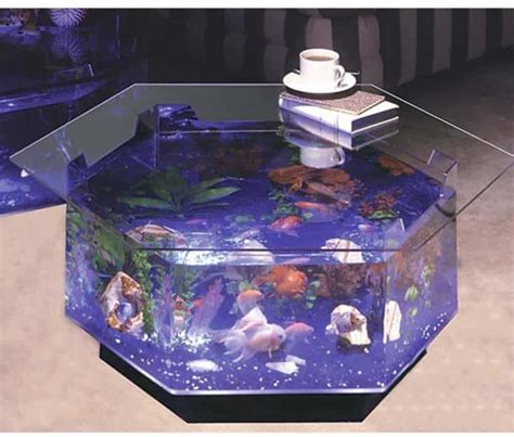 gallon tank perfect choice  medium sized fish aquariadise