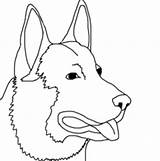 Breed sketch template