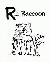 Wuppsy Preschool Raccoon sketch template