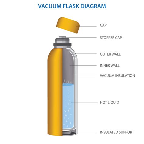 vacuum flask  thermo flask fully diagram vector illustration