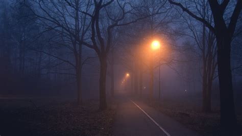 street light night fog man  road hd wallpaper