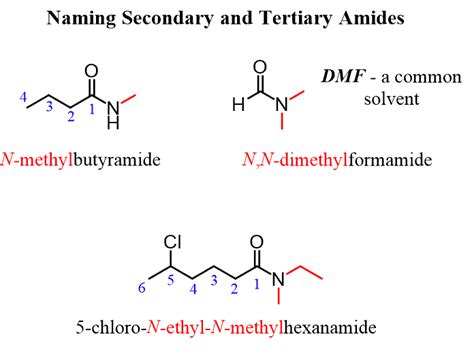 amides examples