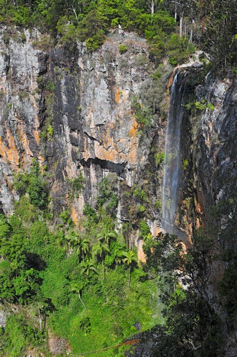 australian waterfalls purling brook falls queensland
