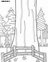 National Coloring Pages Sequoia Parks Doodle Park Kids Alley August Colouring Printables Drawings California Tree Sheets sketch template