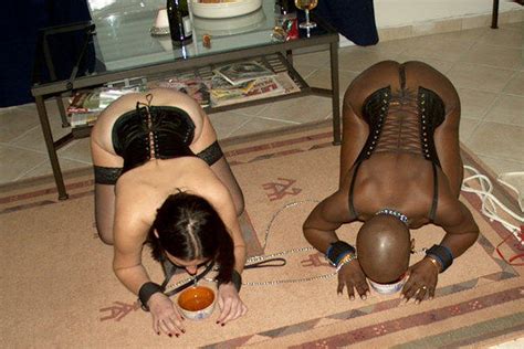 humiliation sluts humiliated picture 3 uploaded by spenk de on