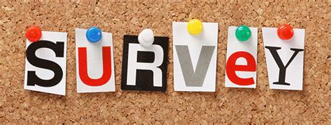 survey   recognition  volunteers competences
