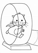 Zhu Hamster Roue Disegni Ausmalbilder Kolorowanki Zuzu Colouring Coloriages Kolorowanka Colorier Malvorlagen Zo Colorare Coloriez Websincloud Héros Jouet Druku Hamsters sketch template