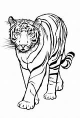 Tiger Ausmalbilder Ausmalen Tigers Ausdrucken Malvorlagen Pages Tiger3 Kostenlos Tieren Geometrische Kinderbilder sketch template