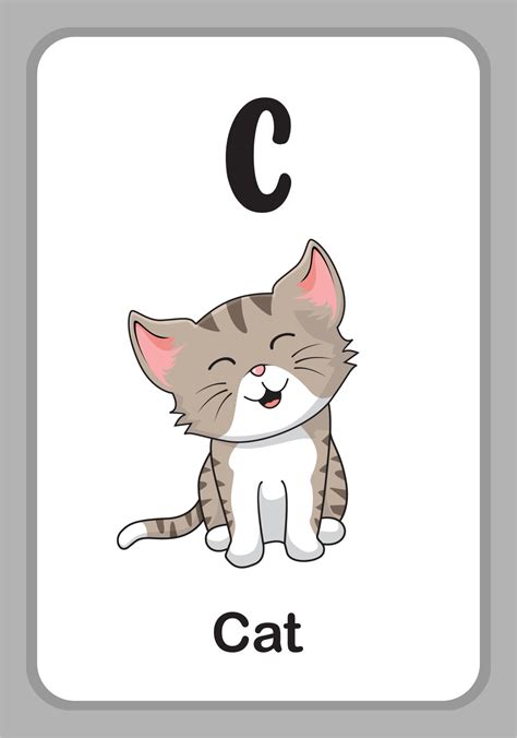 animal alphabet education flashcards   cat  vector art