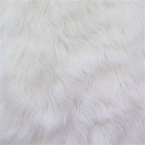 photo white fur animal cat fur   jooinn