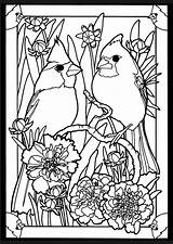 Coloring Pages Glass Stained Birds Adult Cardinals Cardinal Colouring Book Dover Bird Beautiful Publications Adults Color Patterns Books Printable Mated sketch template
