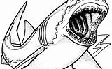 Hammerhead Shark Drawing Clipartmag sketch template