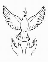 Dove Coloring Pages Doves Printable Drawings Choose Board Peace sketch template