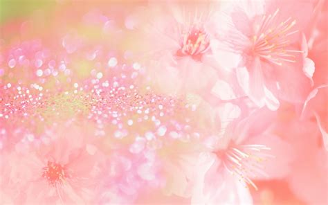 pink flowers background wallpapertag