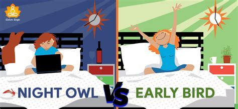 Night Owls V S Early Birds Who Is Better