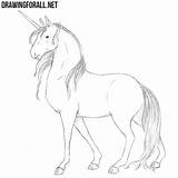 Unicorn Draw Drawing Drawingforall Ayvazyan Stepan sketch template