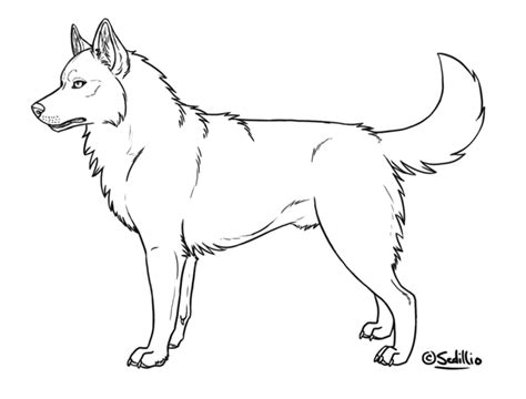 husky dog coloring pages gabbymay belline