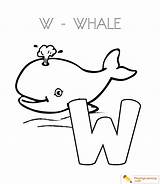 Whale Coloring Sheet sketch template