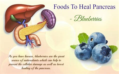 top 14 best and natural foods to heal pancreas