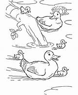 Pond Coloring Duck Swimming Baby Animal Ducks Pages Farm Drawing Color Animals Kids Drawings Sheets Print Printable Netart Getdrawings sketch template