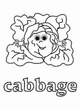 Coloring Cabbage Getcolorings Vegetable sketch template