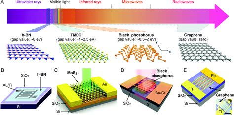 plasmonically enabled  dimensional material based optoelectronic