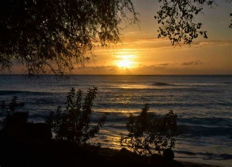 pin by carlson foster on barbados sunset and sunrise sunset sunrise