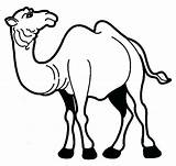 Camel Clipartmag sketch template