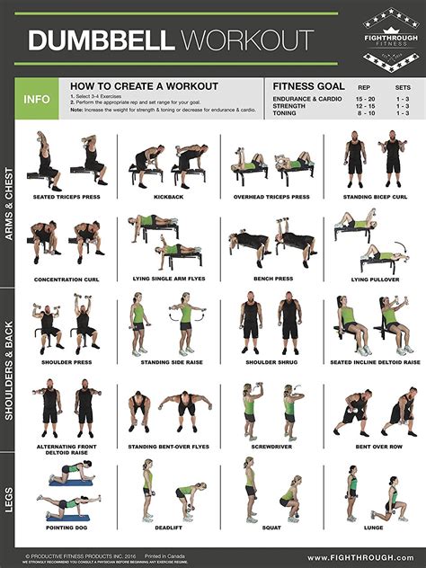 workout poster dumbbell exercise poster laminated  weight strength