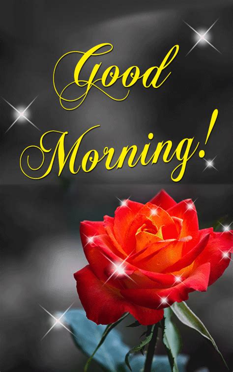 good mornning pic impremedianet