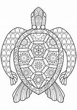 Coloring Pages Turtle Adult Turtles Mandala Adults Sea Printable Color Detailed Animal Zen Abstract Sheets Kids Print Book Justcolor sketch template