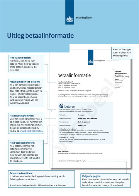 hoe ziet de nieuwe betaalinformatie eruit